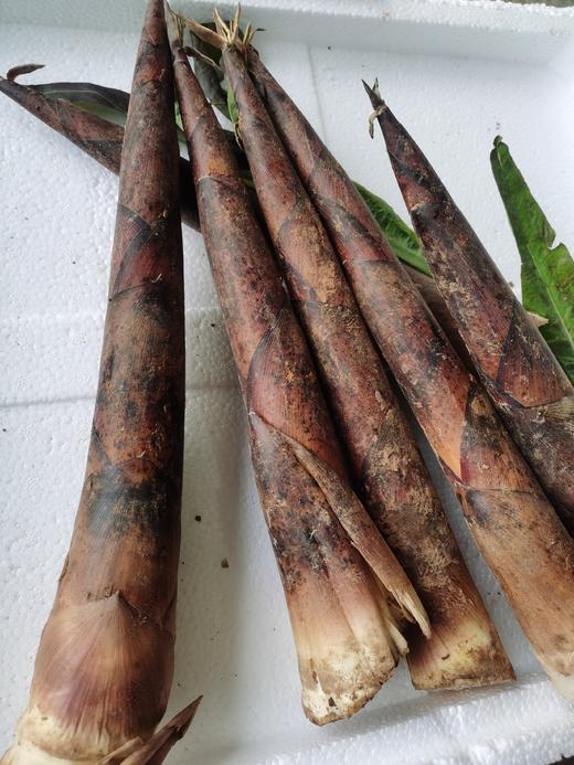 雷笋（500g） 商品图3