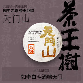 【茶王树系列】元昌号2025年天门山一类茶王树100克生饼