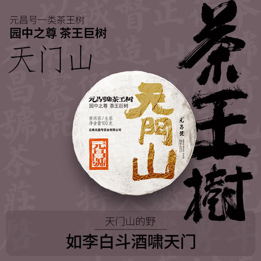 【茶王树系列】元昌号2025年天门山一类茶王树100克生饼 商品图0
