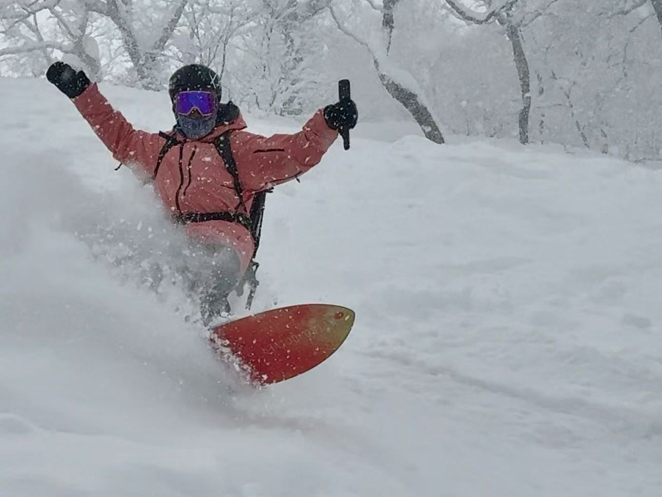 『早鸟来袭 26/27 雪季 Japow！』日本北海道NISEKO 二世谷 民宿包车 追逐粉雪