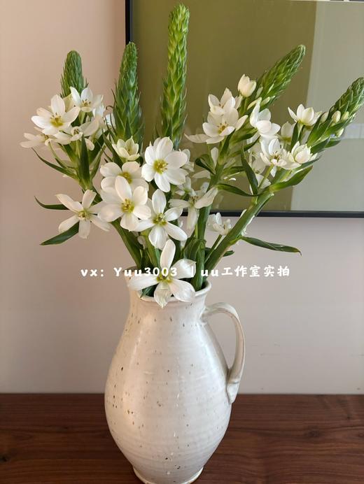 就卖2天【给家里换束花】超长待机 圣心百合（无香），5支，10支 商品图1