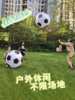 宝宝拍充气足球沙滩球/户外交友神器/便携充气设备 商品缩略图2