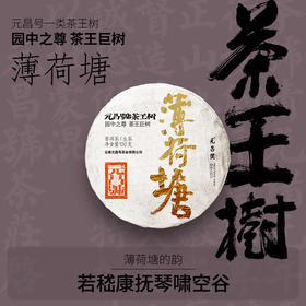 【茶王树系列】元昌号2025年薄荷塘一类茶王树100克生饼