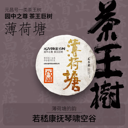 【茶王树系列】元昌号2025年薄荷塘一类茶王树100克生饼 商品图0