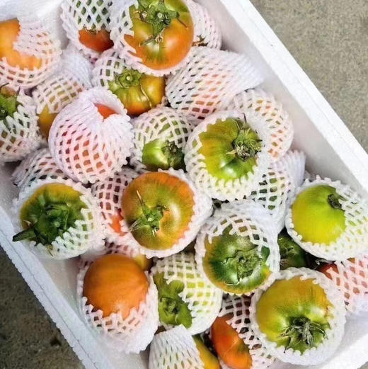 铁皮草莓番茄🍅
底部呈绿色，果面青红相间，肉厚味甜，肉质脆爽，酸度和糖度都非常高，口味非常出众。。。小时候哒味道！ 商品图0