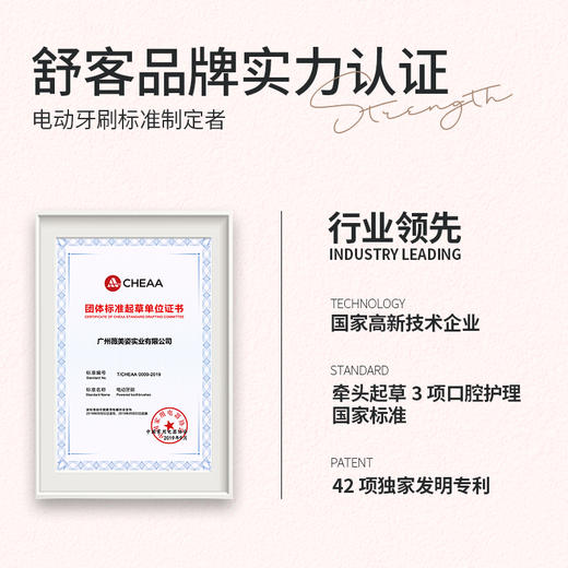 舒客小芯机—声波电动牙刷 N1升级款 商品图5