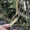 拿铁铁器冰锻“小金刚”生活佩刀 商品缩略图4