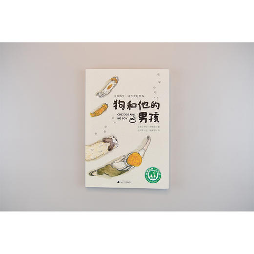 【独秀书香卡】魔法象·故事森林  狗和他的男孩 8~14岁及以上 儿童小说 儿童文学 商品图2