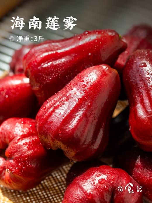 优惠券展示19号测试 商品图0