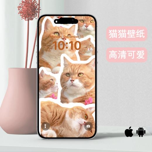 糗糗庄园-原创设计手机屏保壁纸（电子链接提取） 商品图0