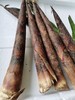 雷笋（500g） 商品缩略图4