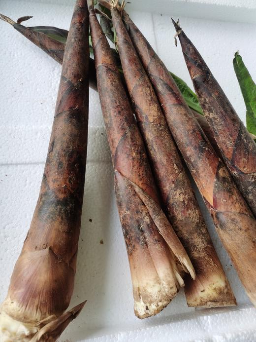 雷笋（500g） 商品图4