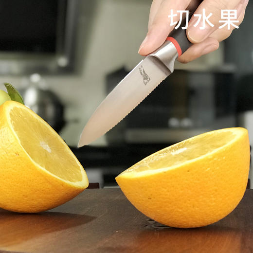 拿铁铁器冰锻“小金刚”生活佩刀 商品图2