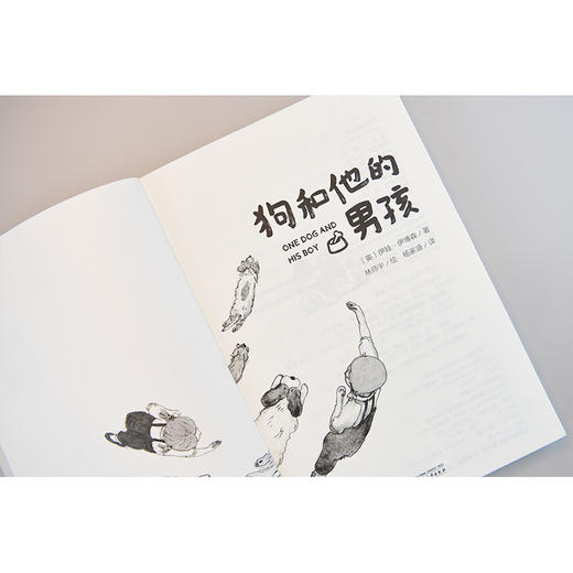 【独秀书香卡】魔法象·故事森林  狗和他的男孩 8~14岁及以上 儿童小说 儿童文学 商品图3