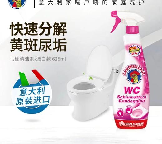 大公鸡马桶清洁剂（漂白）（除垢）625ml 商品图3