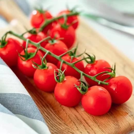 新鲜水果  串收番茄千禧果  500g/盒 商品图2