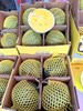 冰淇淋黄金西瓜网红薄皮西瓜9kg整箱装4个/箱【精选】 商品缩略图4
