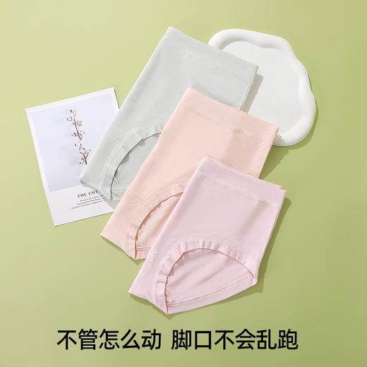 【3条装】熳洁儿 中高腰收腹简约舒适棉质大码内裤女士内裤纯色21752182 商品图5