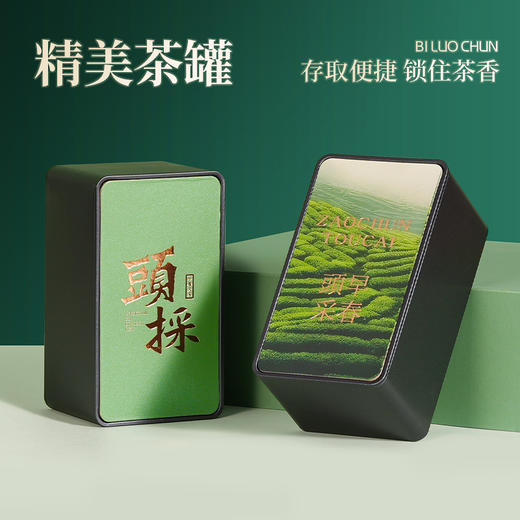 【年货茶礼】茶叶 碧螺春  2025年新茶 明前 茶叶礼盒 茶饮 华源 250g【头采礼盒】 商品图3