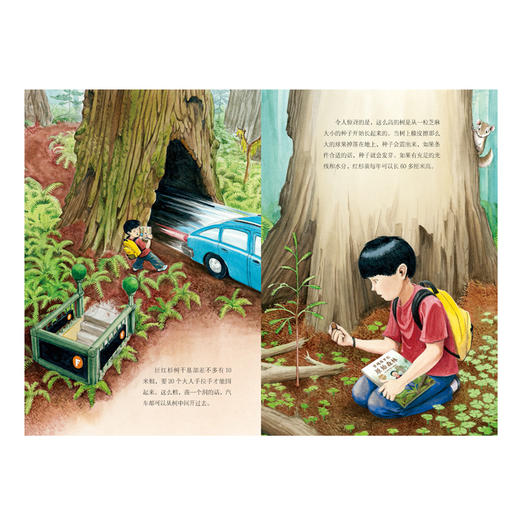 心喜阅科普馆：穿越侏罗纪原始森林（精）（点读版） 商品图1