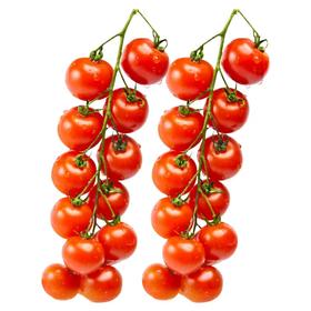 新鲜水果  串收番茄千禧果  500g/盒