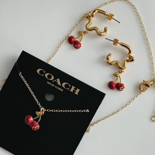 COACH  小樱桃 项链/耳钉俏皮chic！ 商品图0
