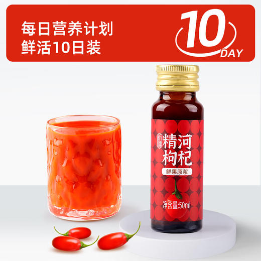 精河枸杞·枸杞鲜果原浆50ml*10瓶  原果鲜萃 口口酸甜顺滑 鲜活10日装 商品图2