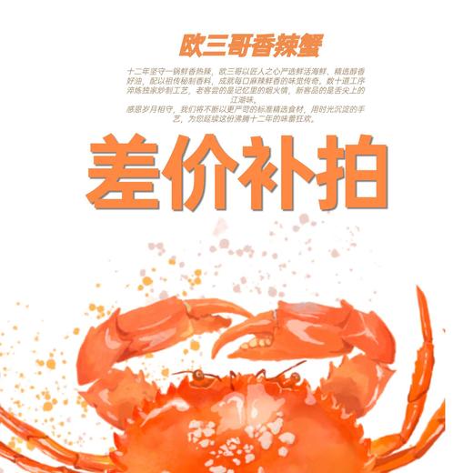 【补差价】 商品图0