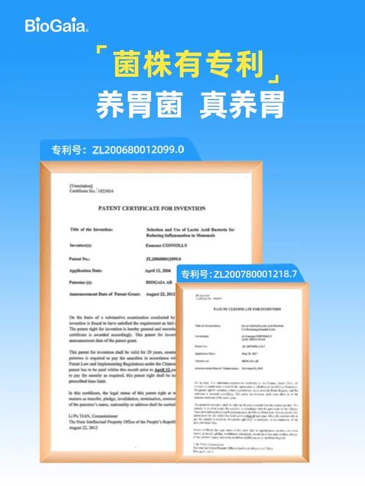 拜奥益生菌正品非婴儿益生菌成人儿童孕妇肠胃咀嚼片养胃菌6475 商品图3