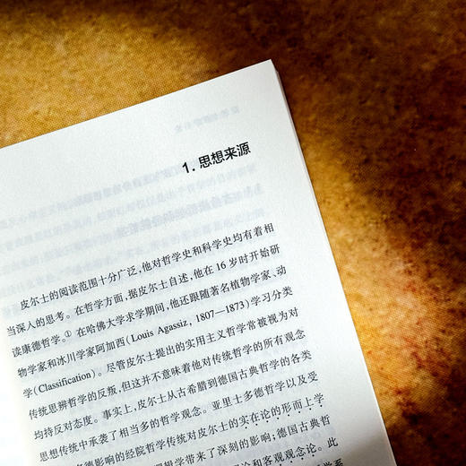 皮尔士哲学引论 周靖 程都 符号学入门之作 当代哲学 实用主义 商品图8