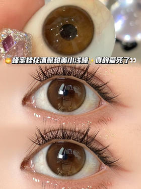 Honey Wine桂花蜂蜜小圆子·月抛型