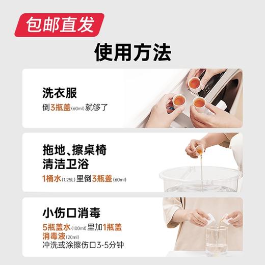 滴露 消毒液【包邮直发】 商品图3