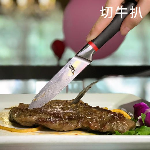 拿铁铁器冰锻“小金刚”生活佩刀 商品图1