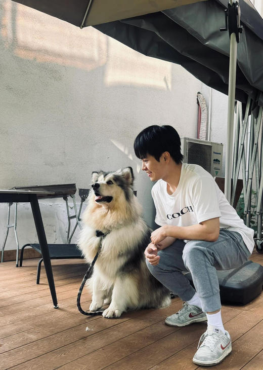 出口内销蔻家经典男女款老花T恤字母简洁棉T 商品图5