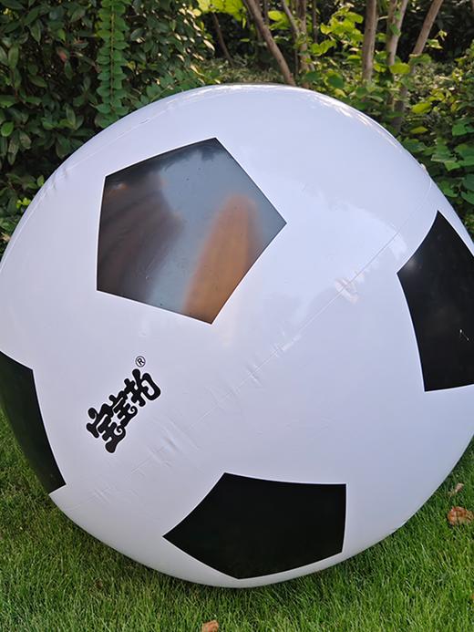 宝宝拍充气足球沙滩球/户外交友神器/便携充气设备 商品图3
