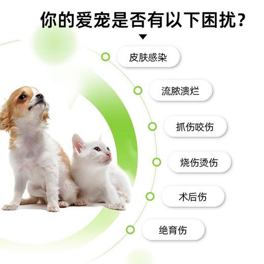 新宠之康 防腐生肌散5g 外用伤口愈合 烫伤烧伤 术后溃烂犬猫通用 商品图3