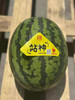 超甜西瓜到货。无籽西瓜🍉新鲜西瓜，非常甜，藤还是绿的。注明：快递损耗不售后 商品缩略图7