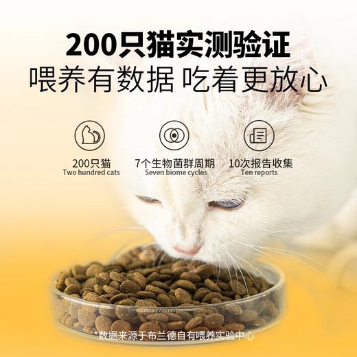 布兰德原始全价繁育猫粮大包10kg 商品图3