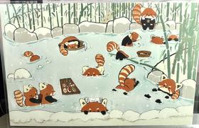 FUFU丨小熊猫明信片