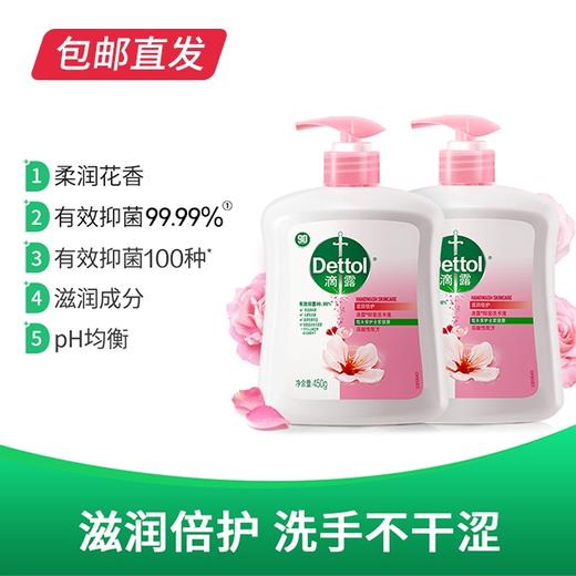 滴露 滋润倍护450g+松木450g洗手液*2套【包邮直发】 商品图1