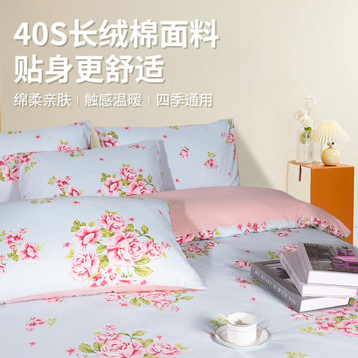 泰嗨TAIHI 全棉印花床上四件套 商品图3