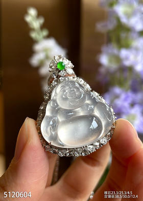5120604，佛公吊坠。具体价格微信咨询