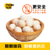 牧族 可生食鲜鸡蛋30枚 营养可生食，蛋黄软糯不噎人；优选健康蛋鸡，科学健康配方喂养，不添加抗生素，17道环节用心把控 商品缩略图5