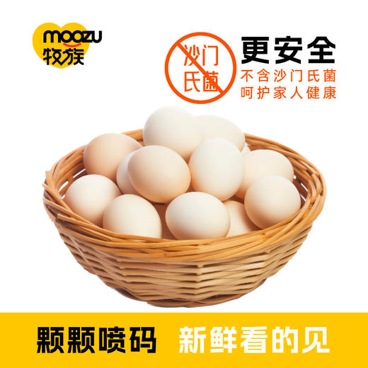 牧族 可生食鲜鸡蛋30枚 营养可生食，蛋黄软糯不噎人；优选健康蛋鸡，科学健康配方喂养，不添加抗生素，17道环节用心把控 商品图5