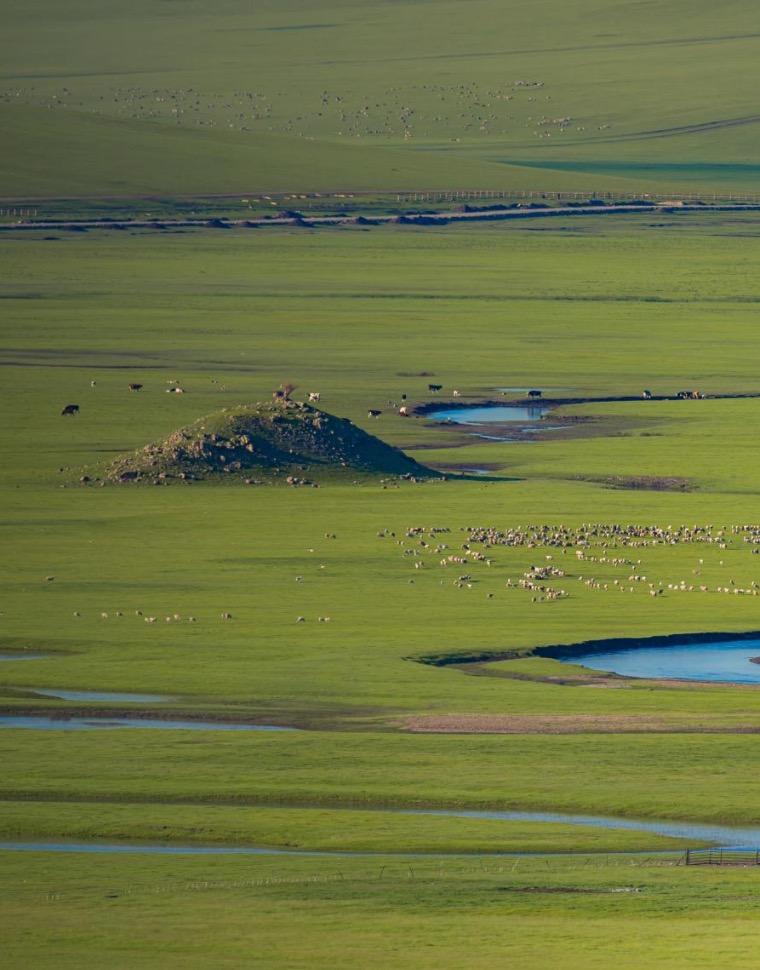 【定制】【内蒙】6天5晚 盛夏草原 · 呼伦贝尔奇遇记