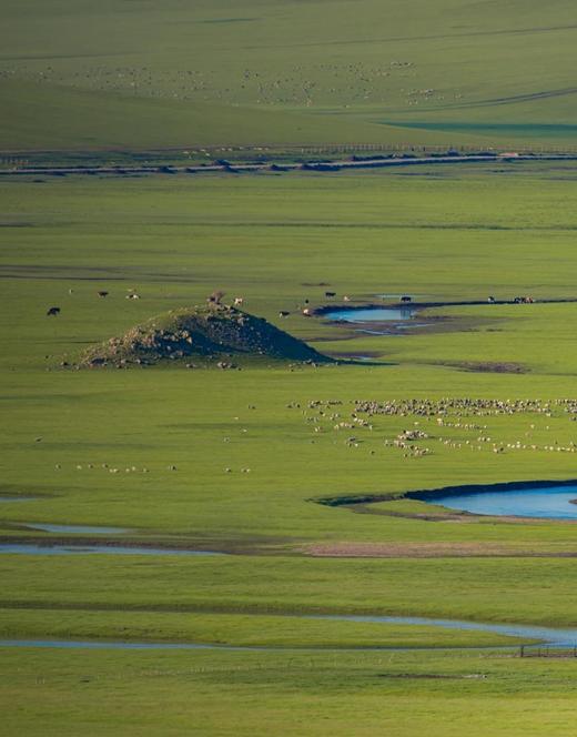 【内蒙】6天5晚 盛夏草原 · 呼伦贝尔奇遇记 商品图0