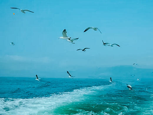 端午3日【磨盘山岛】•私藏小众海岛&海边星空露营-赶海捡海螺-抓螃蟹-环岛徒步休闲游 商品图3