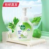滴露 泡沫慕斯洗手液 花香250ml+西柚250ml+青柠250ml【包邮直发】 商品缩略图2