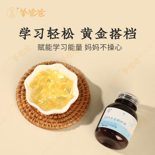 【天麻益智发酵饮】DHA加持 |多种植物精华  学习工作常备 思绪专注（口感微酸甜，稍带点参味) 商品图3