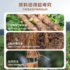 【怀生堂】鲜蒸铁棍山药粉，甄选垆土山药，鲜蒸工艺升级，口感更好营养更升级！每盒120g（10g*12条） 商品缩略图3